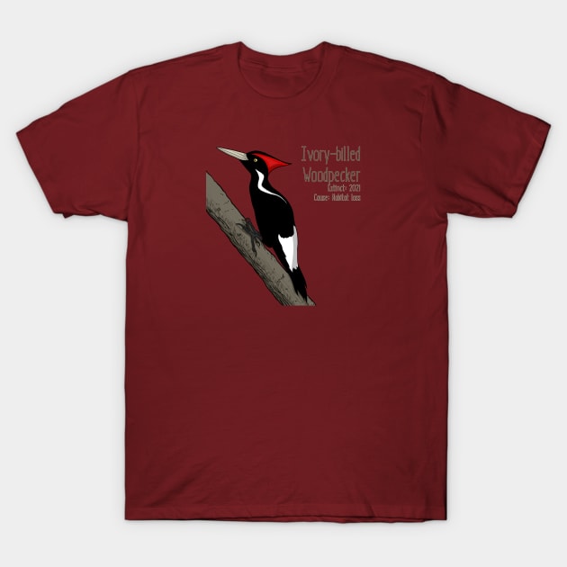 Extinct Species: Ivory-billed Woodpecker - UPDATED T-Shirt by Feathered Focus